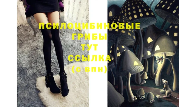ГАЛЛЮЦИНОГЕННЫЕ ГРИБЫ Новозыбков