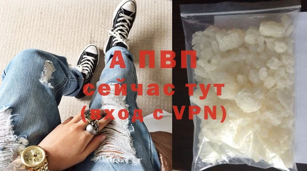 ГАЛЛЮЦИНОГЕННЫЕ ГРИБЫ Новозыбков